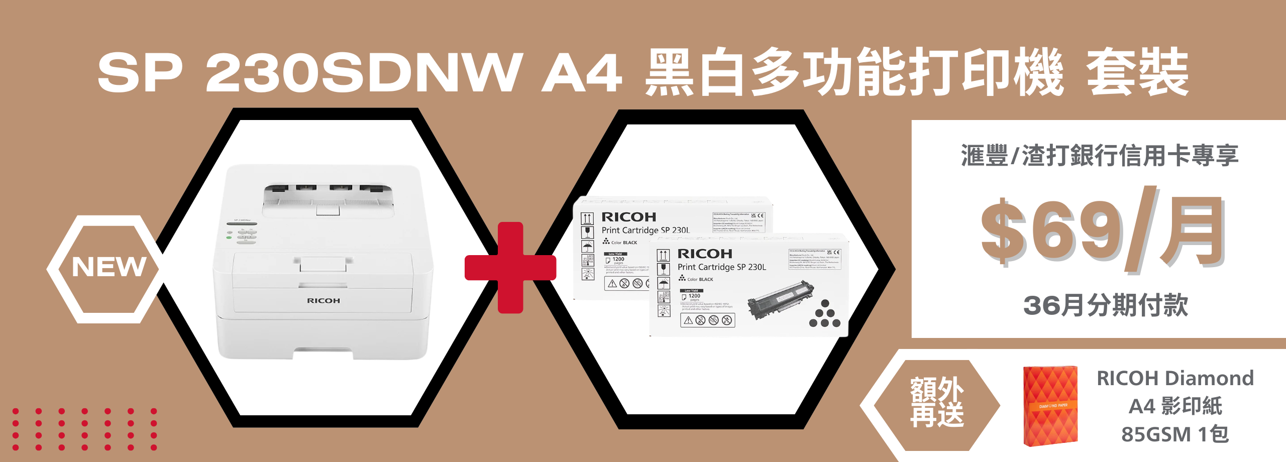 [ HSBC/Standard Chartered Credit Card Only ] RICOH SP 230DNw A4 Black and White Printer Bundle (36 Months Installment Plan) (As low as $69/month)